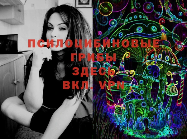 ECSTASY Надым